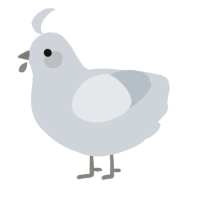 mist, a mist chicken