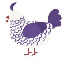 Purp Snow, a white and overcast chicken with a lace pattern