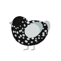 truffle, a black and silver chicken with a speckle pattern