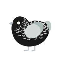 Gerry, a sable and silver chicken with a bar pattern