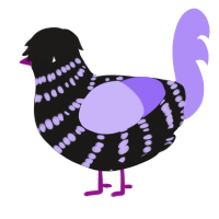 (unnamed), a sable and lilac chicken with a bar pattern