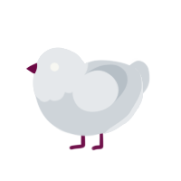 (unnamed), a mist chicken with a head pattern