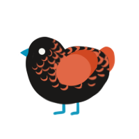 high roller, a sable and vermilion chicken with a half-lace pattern