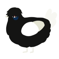 Polycephaly, a black and white chicken