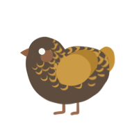 (unnamed), a bark and gold chicken with a half-lace pattern