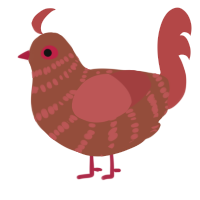 Miss Swiss, a russet and red chicken with a bar pattern