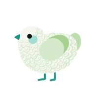 Zucchini, a white and gluppy chicken with a double-lace pattern