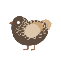 Treble, a bark and beige chicken with a half-lace pattern