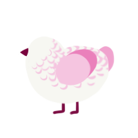 Mei, a white and pink chicken with a half-lace pattern