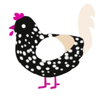 Perfection, a black and cream chicken with a speckle pattern