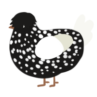 spot boy, a sable and white chicken with a speckle pattern