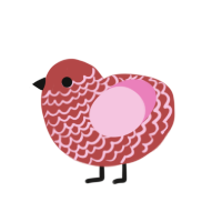 𝓽𝓸𝓶𝓪𝓽𝓸, a red and pink chicken with a lace pattern