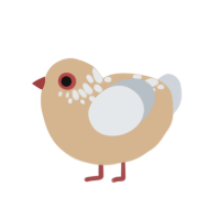 (unnamed), a beige and mist chicken with a neck-speckle pattern