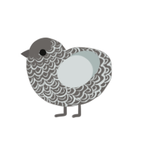 (unnamed), a grey and silver chicken with a double-lace pattern