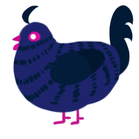 (unnamed), a navy and tumblr chicken with a bar pattern