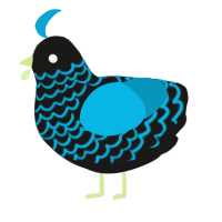 It is my cat, a sable and cerulean chicken with a head pattern