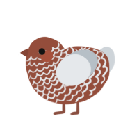 Gingerbread Baby, a russet and mist chicken with a lace pattern