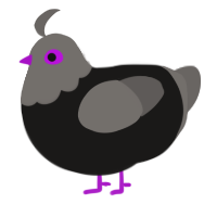 Saturated Pigeon, a sable and grey chicken with a head pattern