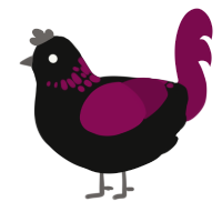 Neuvillette, a black and wine chicken with a neck-speckle pattern