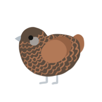 scare, a bark and brown chicken with a lace pattern