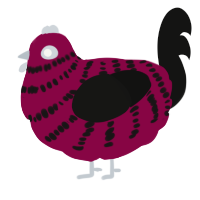 Cranberry Sauce, a maroon and black chicken with a bar pattern