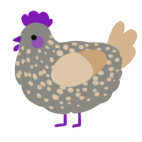 Scatter, a ash and beige chicken with a speckle pattern