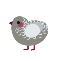 (unnamed), a ash and mist chicken with a half-lace pattern