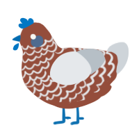 Humbug, a russet and mist chicken with a lace pattern