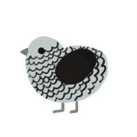 Pebbles, a silver and sable chicken with a lace pattern