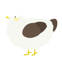 Seagull, a white and bark chicken