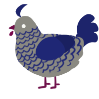 (unnamed), a ash and navy chicken with a lace pattern