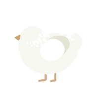 russian teacake, a white chicken with a neck-speckle pattern