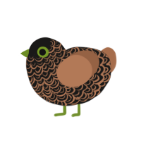 MudWing, a sable and brown chicken with a double-lace pattern