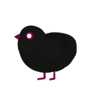 Echoplex, a black chicken with a head pattern