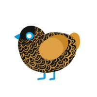 (unnamed), a black and orange chicken with a double-lace pattern