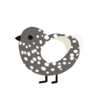 Child, a grey and white chicken with a lace pattern