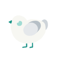 albatross, a white and mist chicken