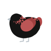 (unnamed), a black and red chicken with a neck-speckle pattern