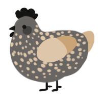 A grey and beige chicken with a speckle pattern