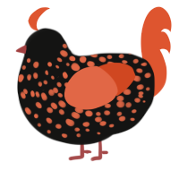 paprika pumpkin, a black and vermilion chicken with a speckle pattern