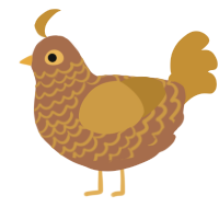 Croissant, a brown and gold chicken with a lace pattern