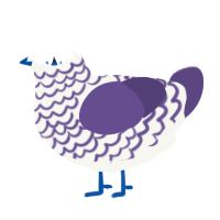 Eep, a white and overcast chicken with a lace pattern