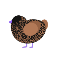 (unnamed), a black and brown chicken with a double-lace pattern