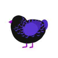 Cyanide, a black and indigo chicken with a half-lace pattern