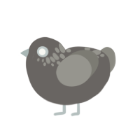 Country of the Lost, a grey and ash chicken with a neck-speckle pattern