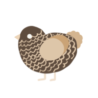 Chai, a bark and beige chicken with a lace pattern