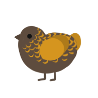 (unnamed), a bark and ochre chicken with a half-lace pattern