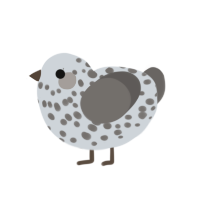 (unnamed), a mist and grey chicken with a speckle pattern