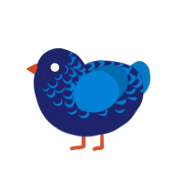 Jelly Cookie, a navy and sapphire chicken with a half-lace pattern