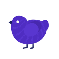 wait, a indigo chicken with a bar pattern